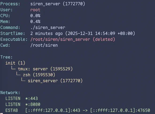 SIREN 进程分析功能展示